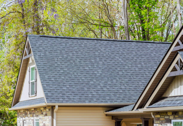 Professional Roofing Services in Bisbee, AZ